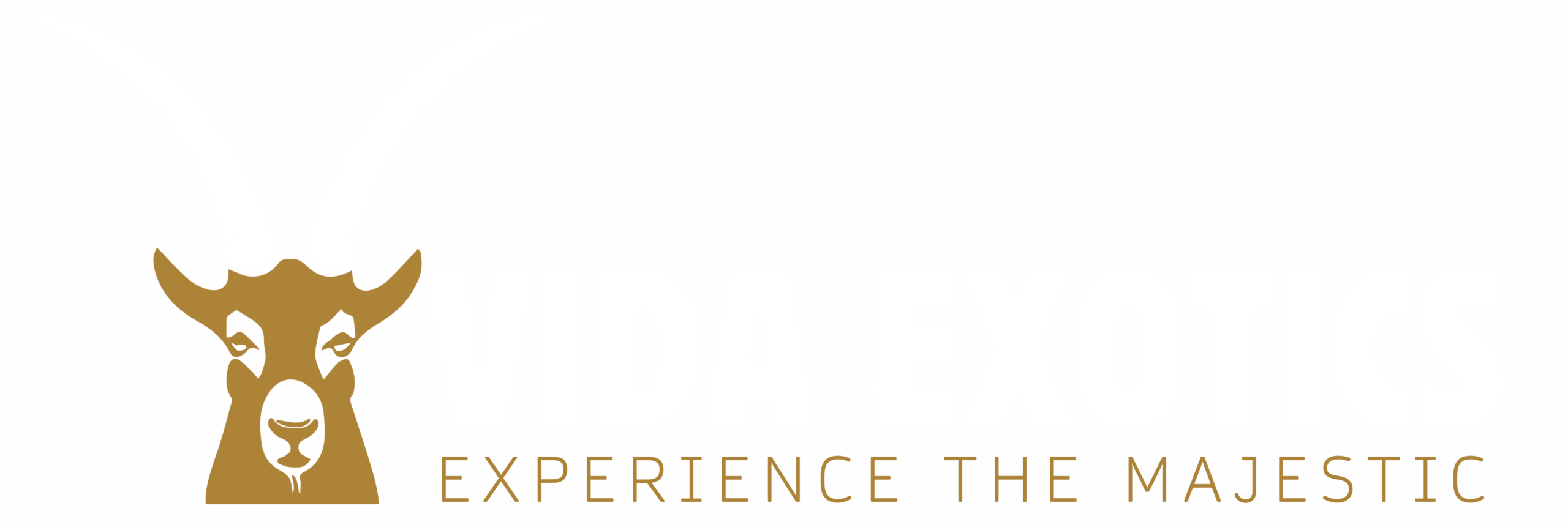 Vida Exotics Logo Landing